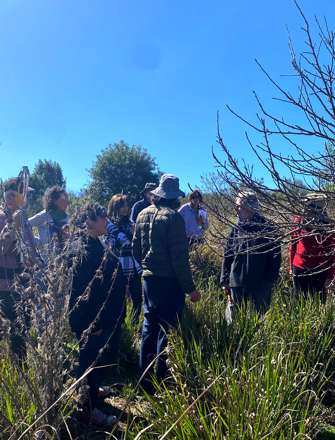 Taller de podas de Juan Plada
