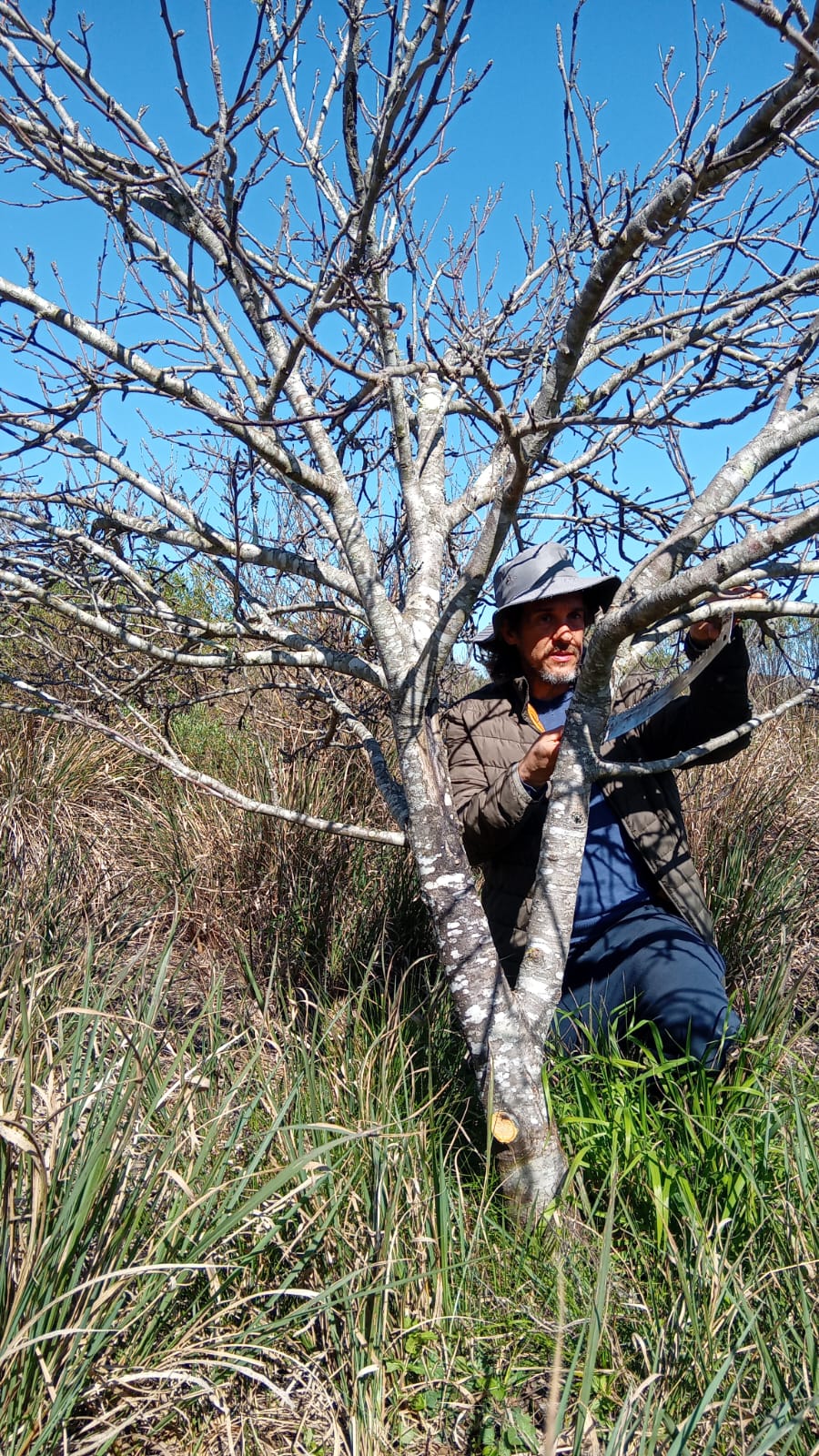 Taller de podas de Juan Plada