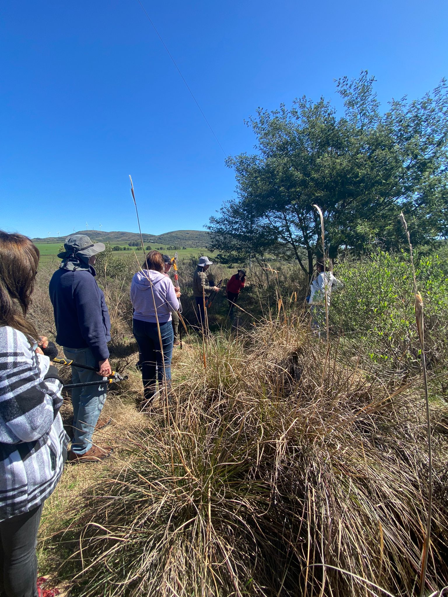 Taller de podas de Juan Plada